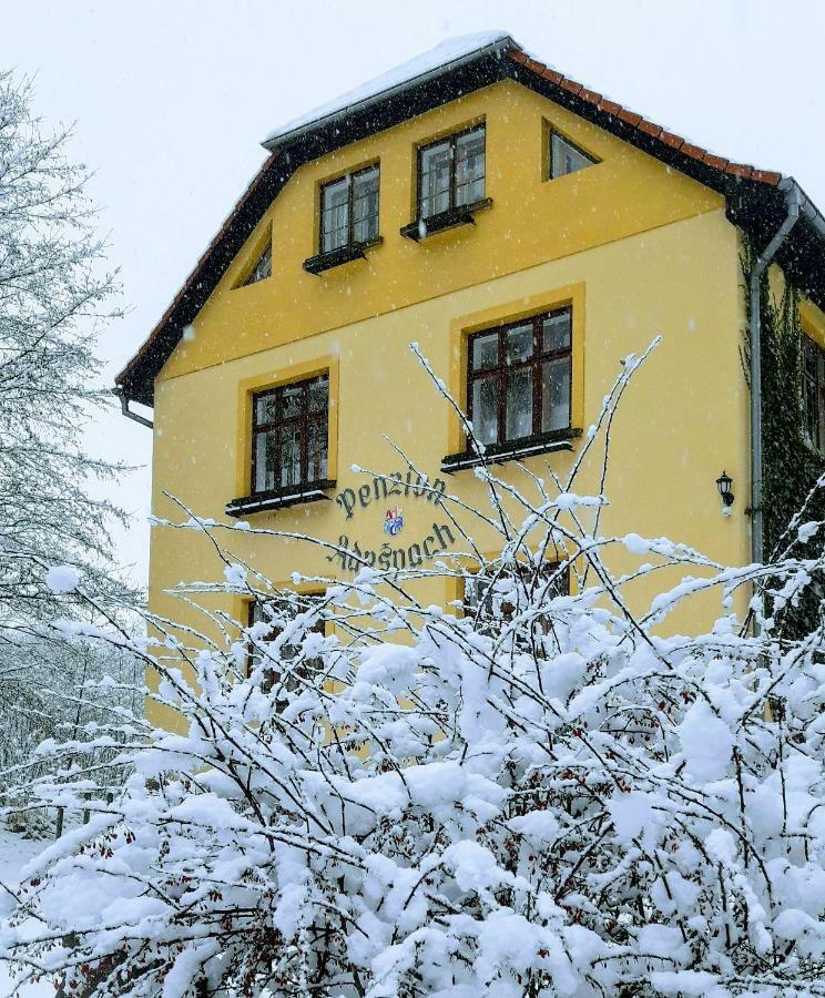 Penzion Adrspach U Bary Otel Dış mekan fotoğraf